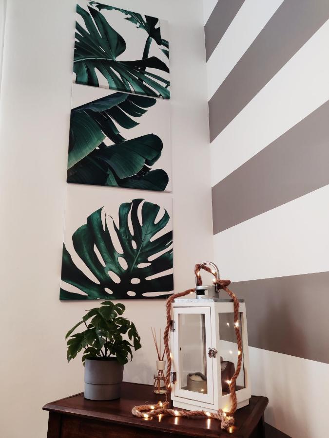 Apartament Modern Flat With Panoramic Terrace In Zuccarello Zewnętrze zdjęcie